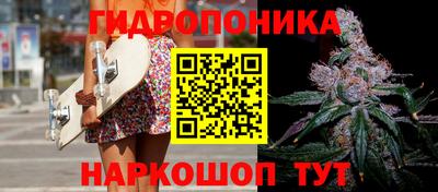 гидропоника Пушкино