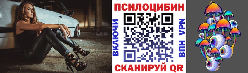 Галлюциногенные грибы Psilocybe  Павловский Посад 